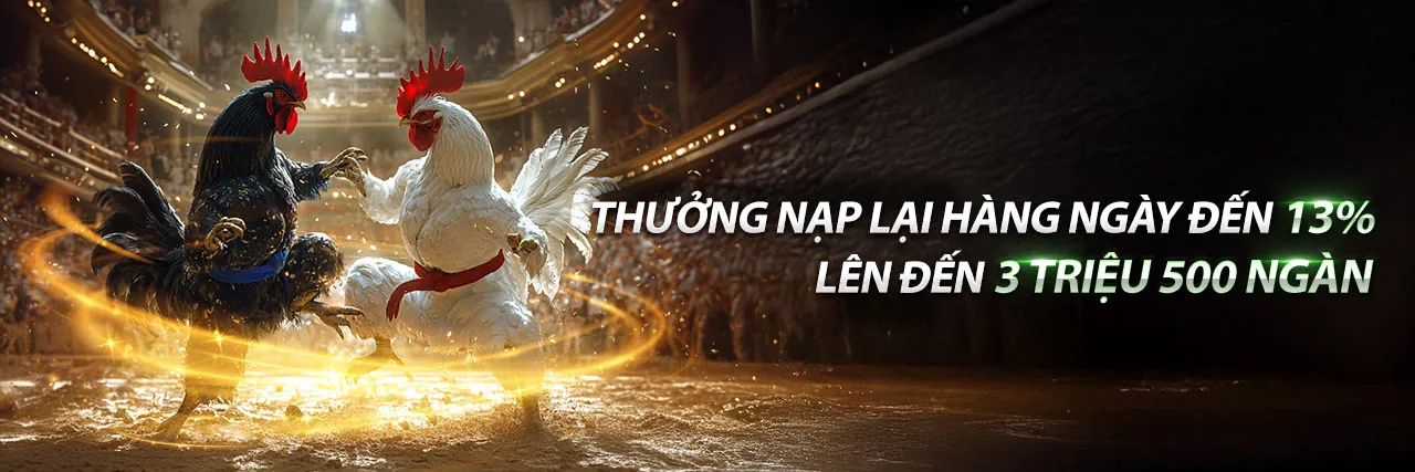 Hình ảnh chính của blog DA88 Game, thể hiện sự sôi động của cá cược trực tuyến